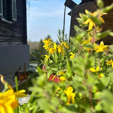 Casa vacanze Huber's 28 Leutschach